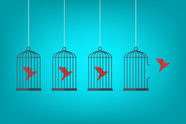 会飞的鸟和笼子。自由的概念。自由和幸福的情感。极简主义的风格。图片下载