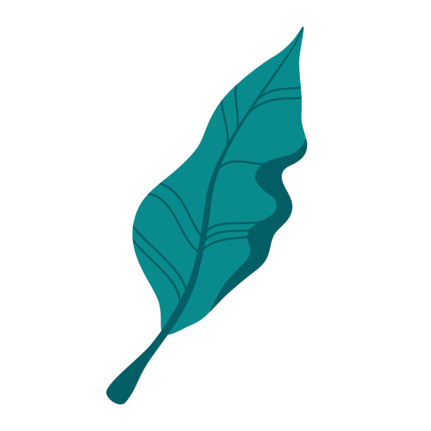 叶子。平的植物学元素。现代秋季装饰。花卉剪影图形设计。矢量手绘插图孤立在白色背景上。图片下载
