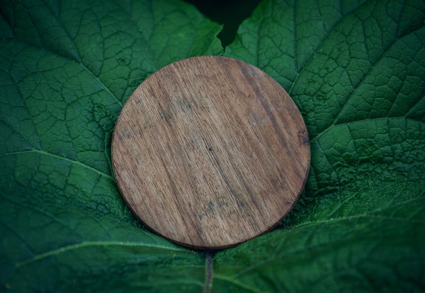 在绿叶上模拟木制的空圆板图片下载