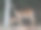 鹿妈妈和她刚出生的小鹿图片下载