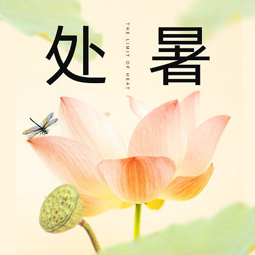 清新文艺处暑节气公众号封面图片下载