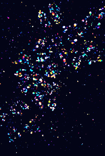 闪闪发光的漂亮闪亮的背景插图图片下载