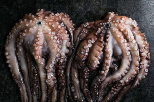 章鱼。创意的健康食品概念，配以美味的章鱼海鲜照片。图片下载
