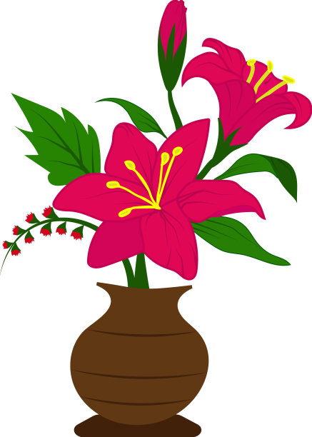 粉红色的芙蓉花花图片下载