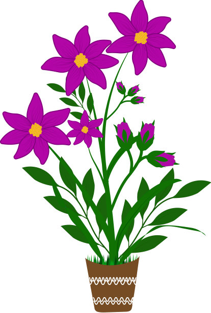 花瓶里的百合花图片下载