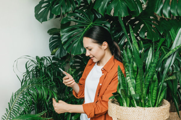 一位年轻的女花商在她的家庭花园照顾植物，拍摄绿叶照片，检查植物。在城市条件下的家庭园艺的概念，环境友好的住房和植物护理图片下载