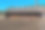 Seriemas (Cariama cristata)在刚收获的咖啡豆中寻找昆虫图片下载