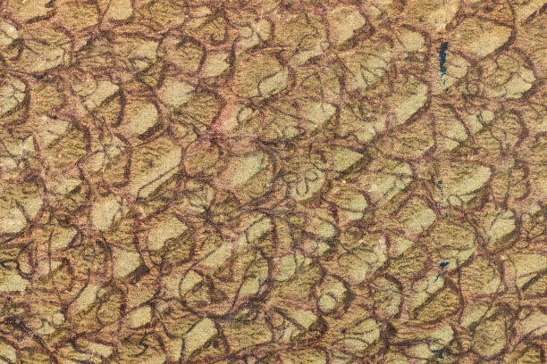 风化的纸背景从旧书封面。蹩脚货布纹理。帆布纹理棕色背景图片下载