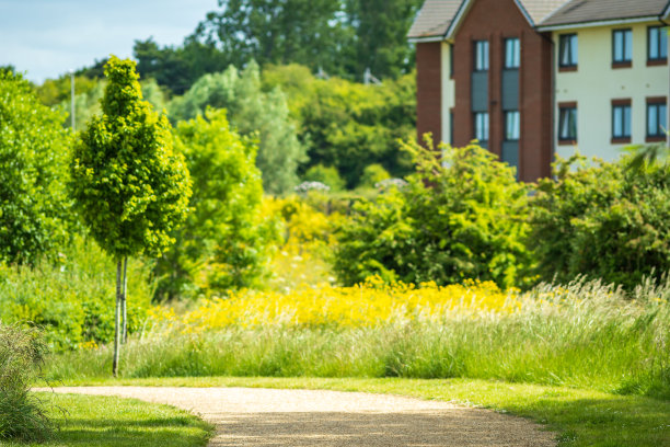 空旷的人行道，背景是英国新建的房屋图片下载