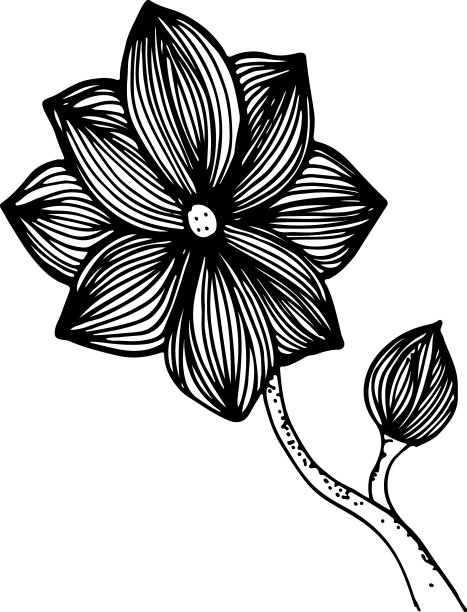 禅宗艺术风格的树花图片下载