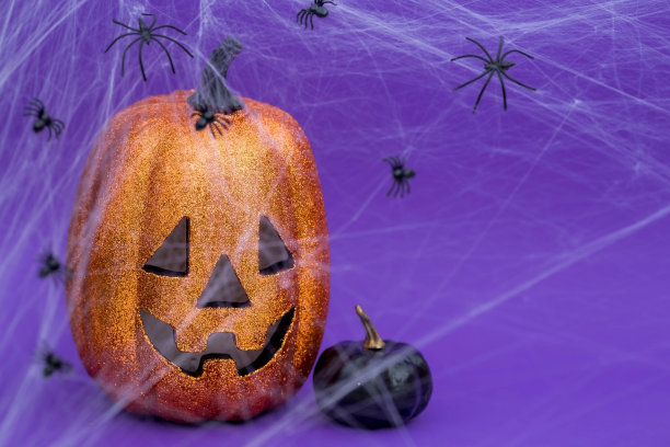 万圣节派对的现代明信片。南瓜杰克，黑色南瓜，蜘蛛网，蜘蛛，时髦的紫色背景。带有文本复制空间的横幅。图片下载