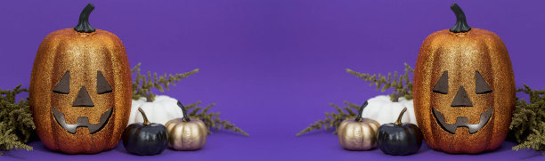 万圣节派对的现代明信片。南瓜杰克，黑色南瓜，蜘蛛网，蜘蛛，时髦的紫色背景。带有文本复制空间的横幅。图片下载