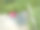 后院的迷你健身蹦床和健身球图片下载
