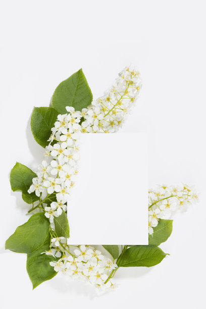 春天白色空白卡文本样机与白色的鸟，樱花，绿叶在白色垂直的背景。美丽的花卉背景广告，品牌标识，贺卡。图片下载