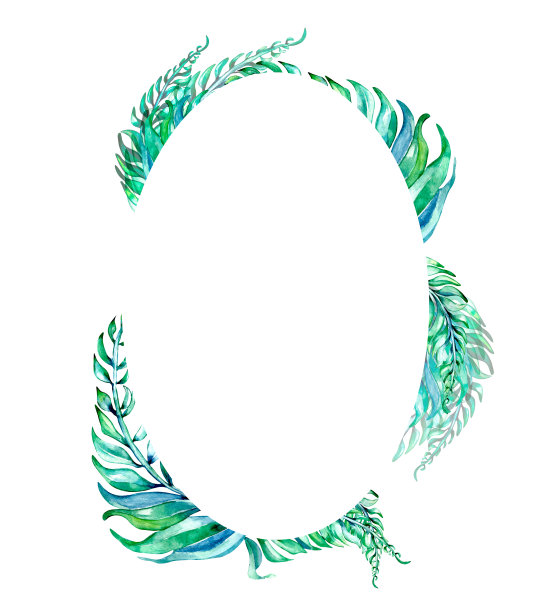 彩色的热带树叶框架水彩插图在白色图片下载