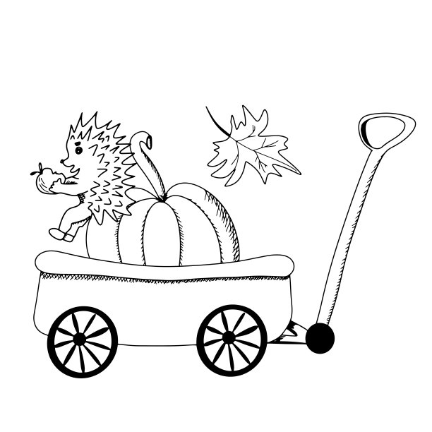 刺猬在南瓜图片下载