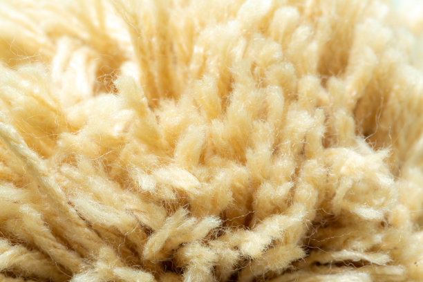 作物原棉、纺纱机、宏观棉、背景棉纤维图片下载