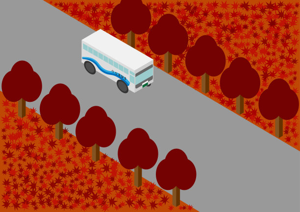 游览车:一种观光巴士，行驶在有等距秋叶的林荫道上图片下载