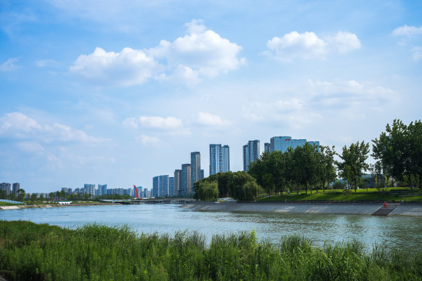 阳光明媚的河滨大桥和现代城市建筑图片下载