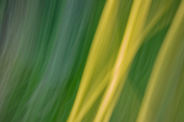 肮脏的深绿色抽象背景与黄色的线。图片下载