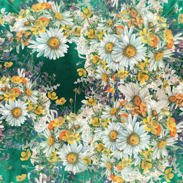 无缝模式。野花和草本植物，洋甘菊花-装饰成分。水彩插图。装饰性的构图。使用印刷材料，标志，物体，地点，地图。图片下载