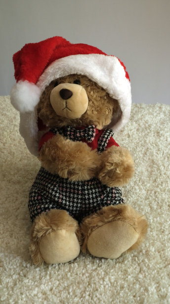 泰迪熊在圣诞老人的帽子里。图片下载
