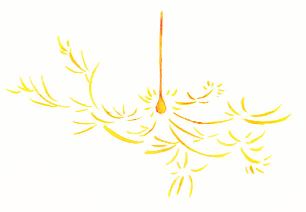 插图的炯炯有神的眼睛图片下载