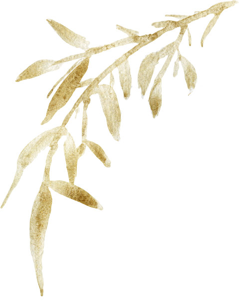 水彩日本叶，水彩插图竹水彩亚洲风格绘画。图片下载
