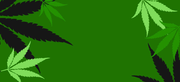 有大麻叶子的绿色旗帜图片下载