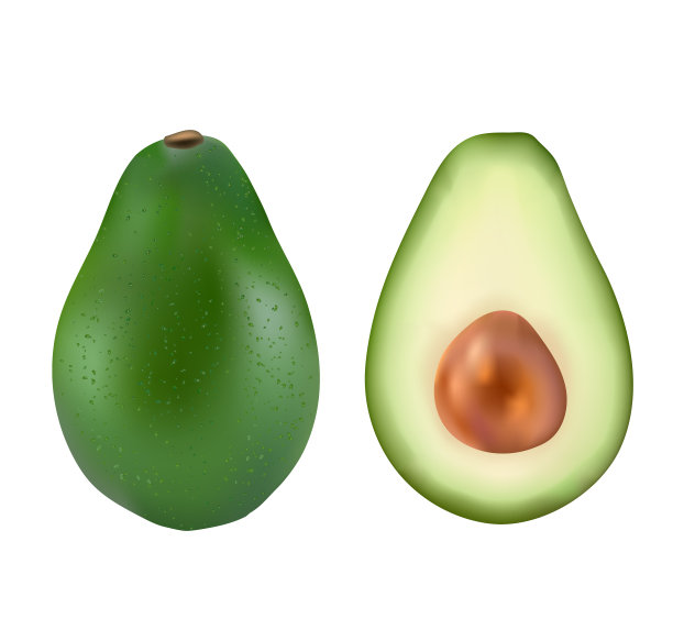 真实的牛油果孤立在透明的背景。图片下载