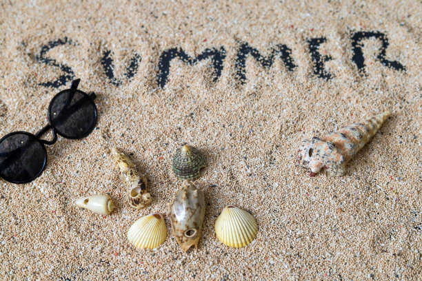 夏天的概念。图片下载