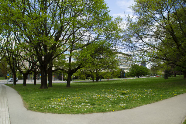 绿色走廊透明通道春天市中心户外金融区首都城市克罗地亚文化萨格勒布城市景观欧洲图片下载