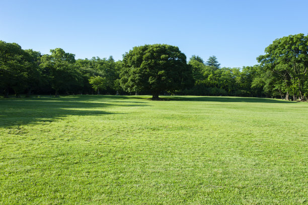 格林公园图片下载