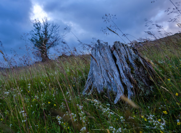 贫瘠的荒野荒野图片下载