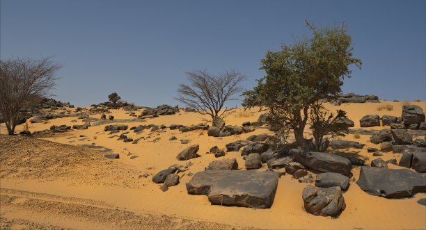 撒哈拉沙漠的石头图片下载