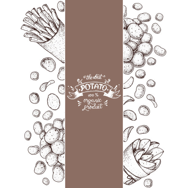 土豆矢量插图。快餐设计模板。炸薯条，土制土豆和手绘薯片。雕刻风格的海报。图片下载