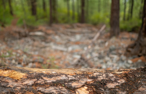 空的表面在户外图片下载