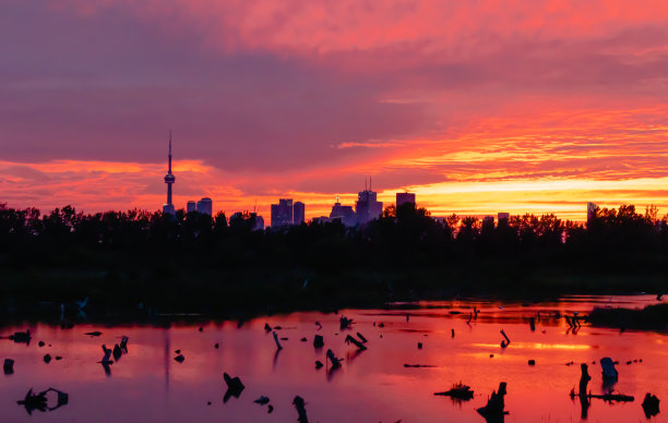 日落时分的多伦多天际线图片下载
