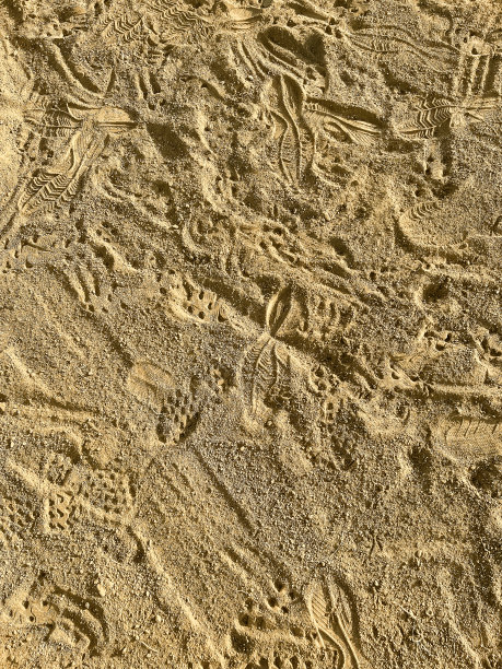 有Cleat鞋印的空脏棒球场图片下载