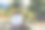 搪瓷白色马克杯与森林背景和苔藓模型。徒步商品和露营装备营销图片。Stock wildwood照片与白色金属杯。乡村场景，产品模拟模板图片下载