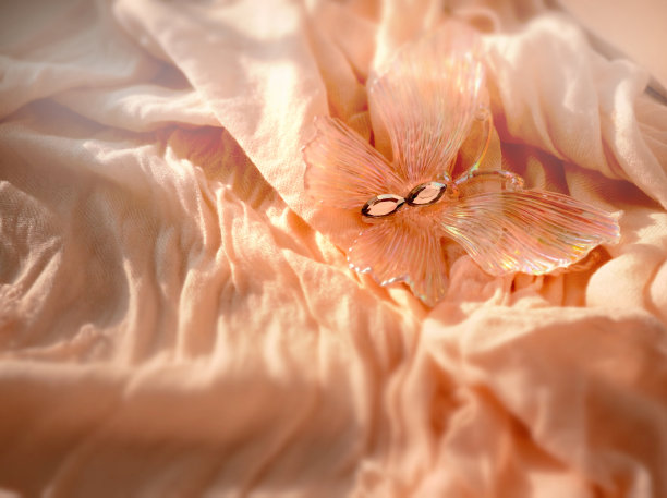 简约的风格，优雅的米色背景上的水晶蝴蝶，波西米亚的柔软美学图片下载