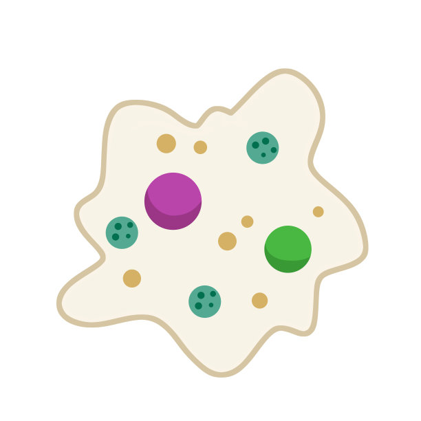 变形虫细胞。小的单细胞动物。病毒和细菌。图片下载