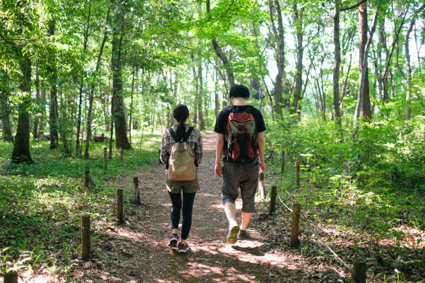 一对夫妇在森林里徒步旅行的后视图图片下载