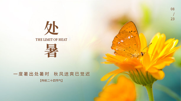 处暑节气风景扁平简约横版海报图片下载