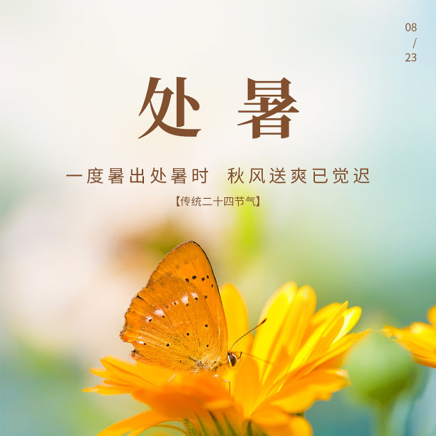 处暑节气风景扁平简约方形海报图片下载