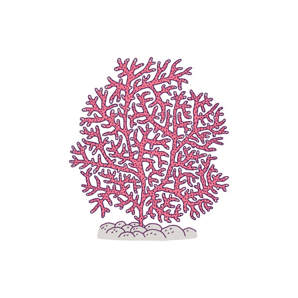 珊瑚粉红色珊瑚礁海洋动物图片下载