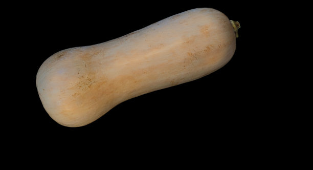 黑色背景的南瓜。Lagenaria siceraria图片下载