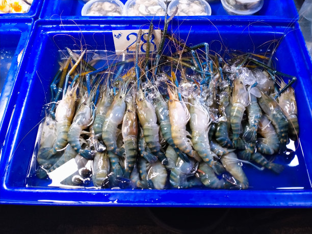 泰国鲜虾市场。图片下载