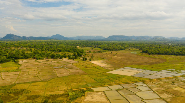 斯里兰卡的乡村景观。图片下载