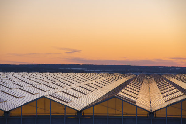 工业温室上的金色夕阳图片下载